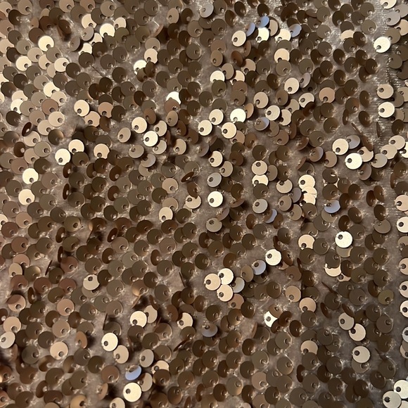 New Forever 21 Tank corp top with sequence on the outside & silky inside, size S - Picture 2 of 6